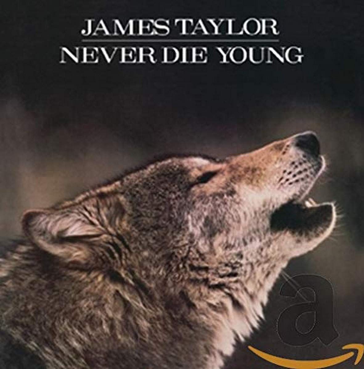 【CD】Never die young