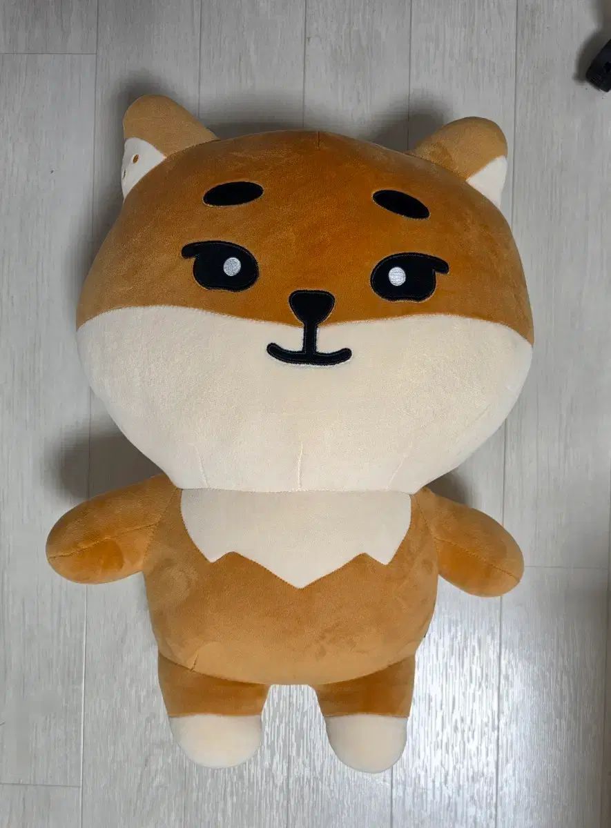 DAY6（デイシックス） ジャイアントデマルケ 12,322円
