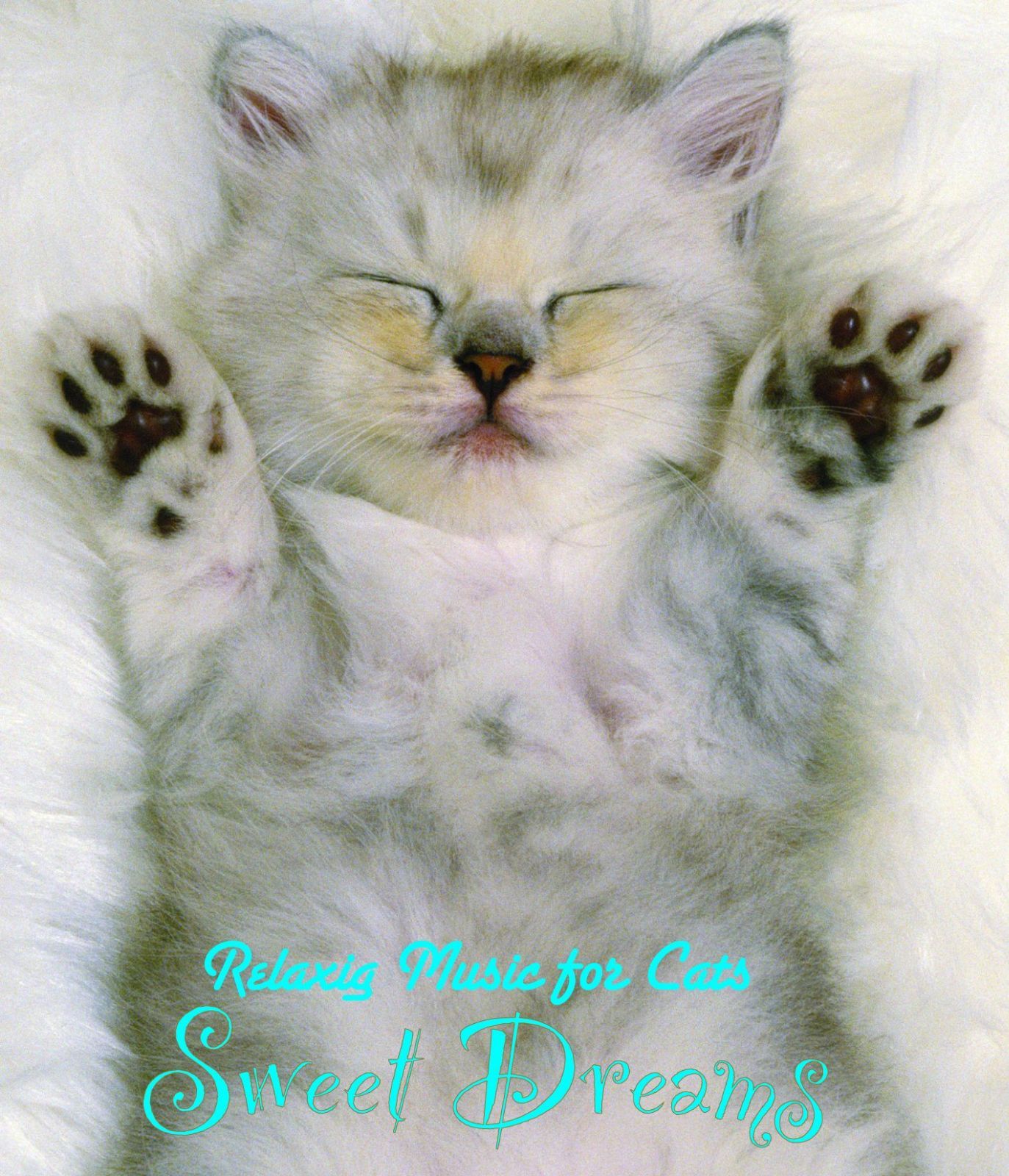 【CD】Relaxing Music for Cats? Sweet Dreams(人生はニャンとかなる! タイアップCD)