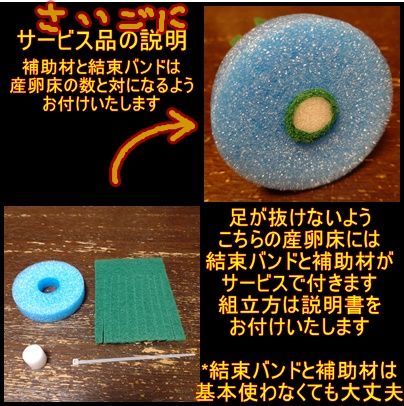 メダカ 産卵床(ミックス) ※研磨剤不使用 - メルカリ