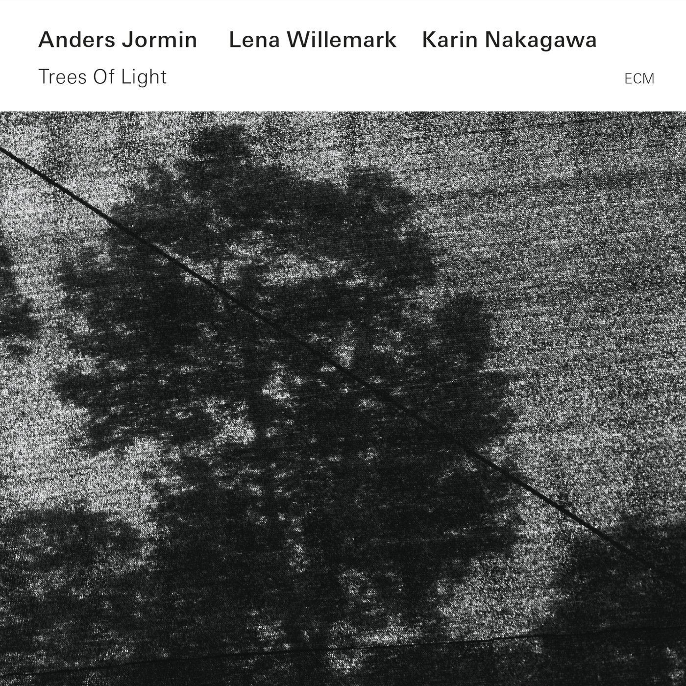 【CD】Trees of Light