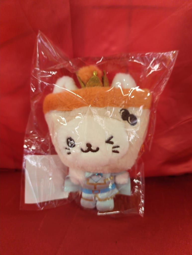 NCT WISH Help! All Six Princes Are Trying to Propose to Me YUSHI Prince Wish Doll