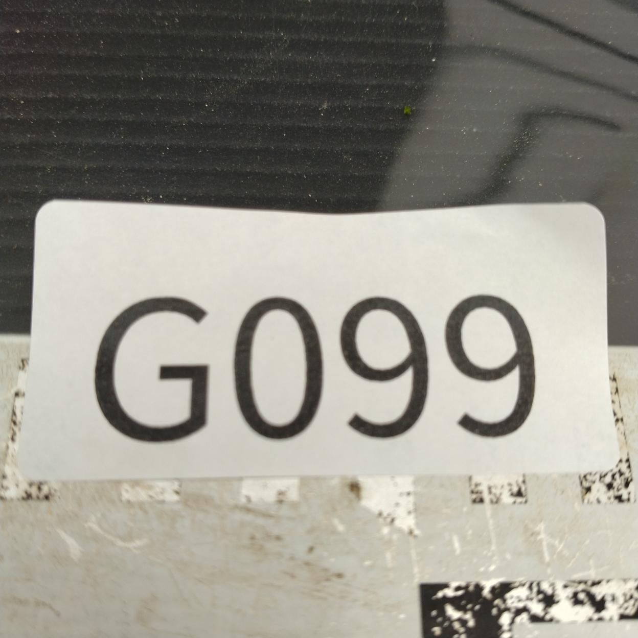 G099 「イベント品」P.グラキリスSS・M.タイコンステレーション斑入り
