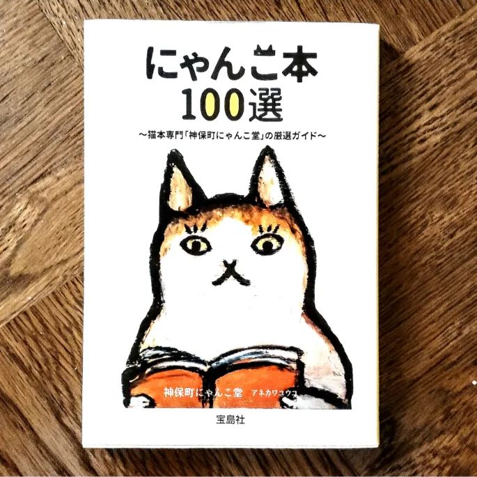 初版 にゃんこ本100選 神保町にゃんこ堂 猫本ガイド 猫好き必見 宝島