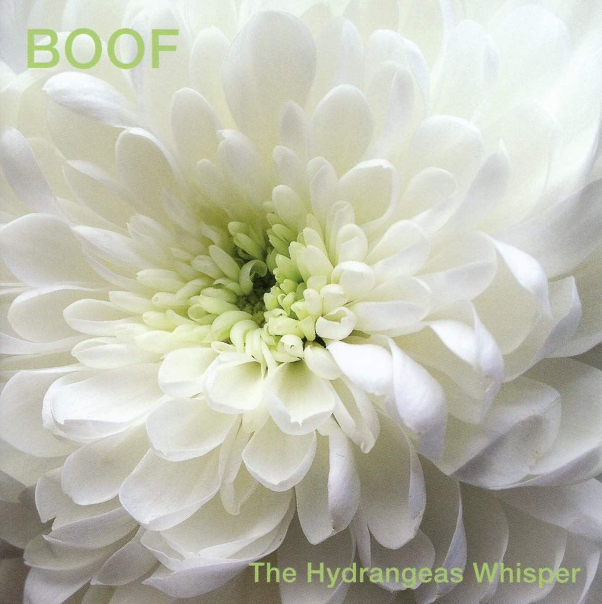 【CD】The Hydrangeas Whisper