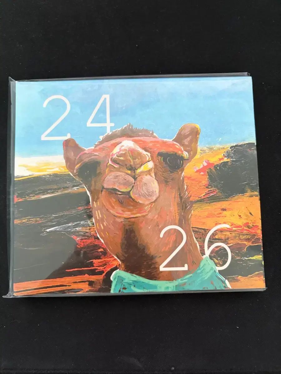 ヴィンツィーノ 24 ： 26 cd 開封 22,803円