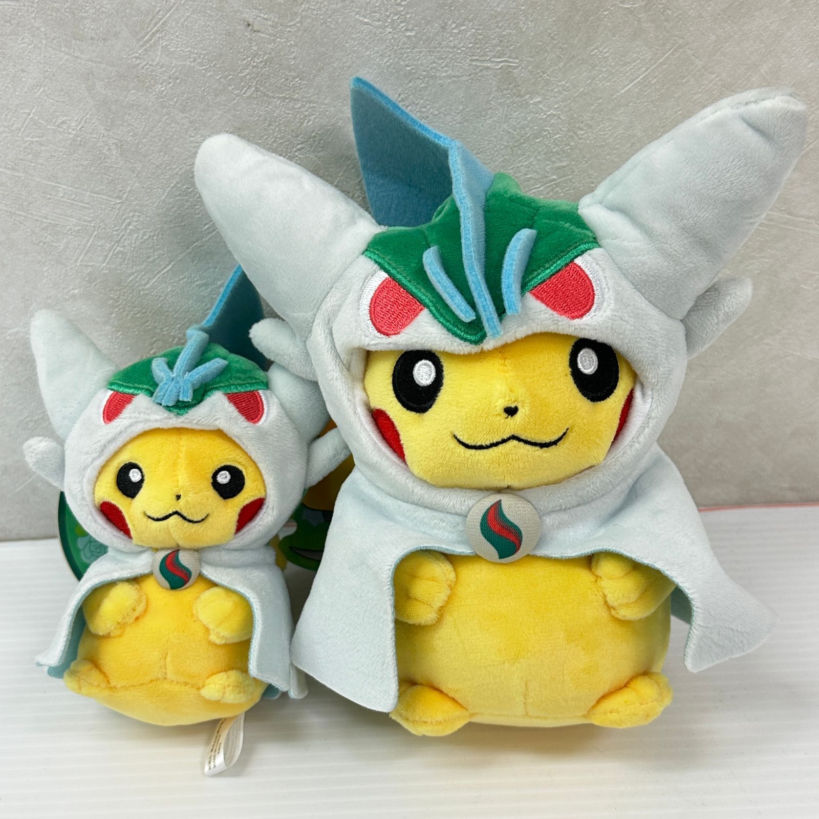 △ポケモン ポンチョを着たピカチュウ 団員ごっこピカチュウ 他