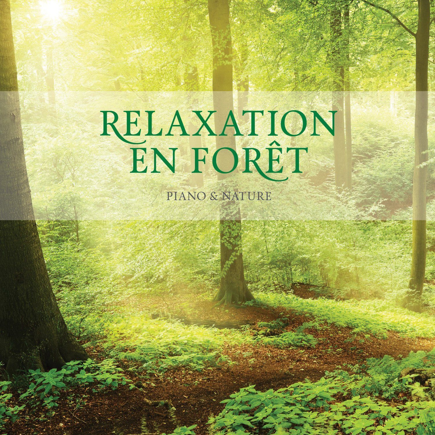 【CD】Relaxation en Foret