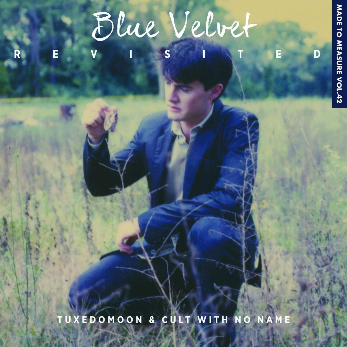 【CD】Blue Velvet Revisited