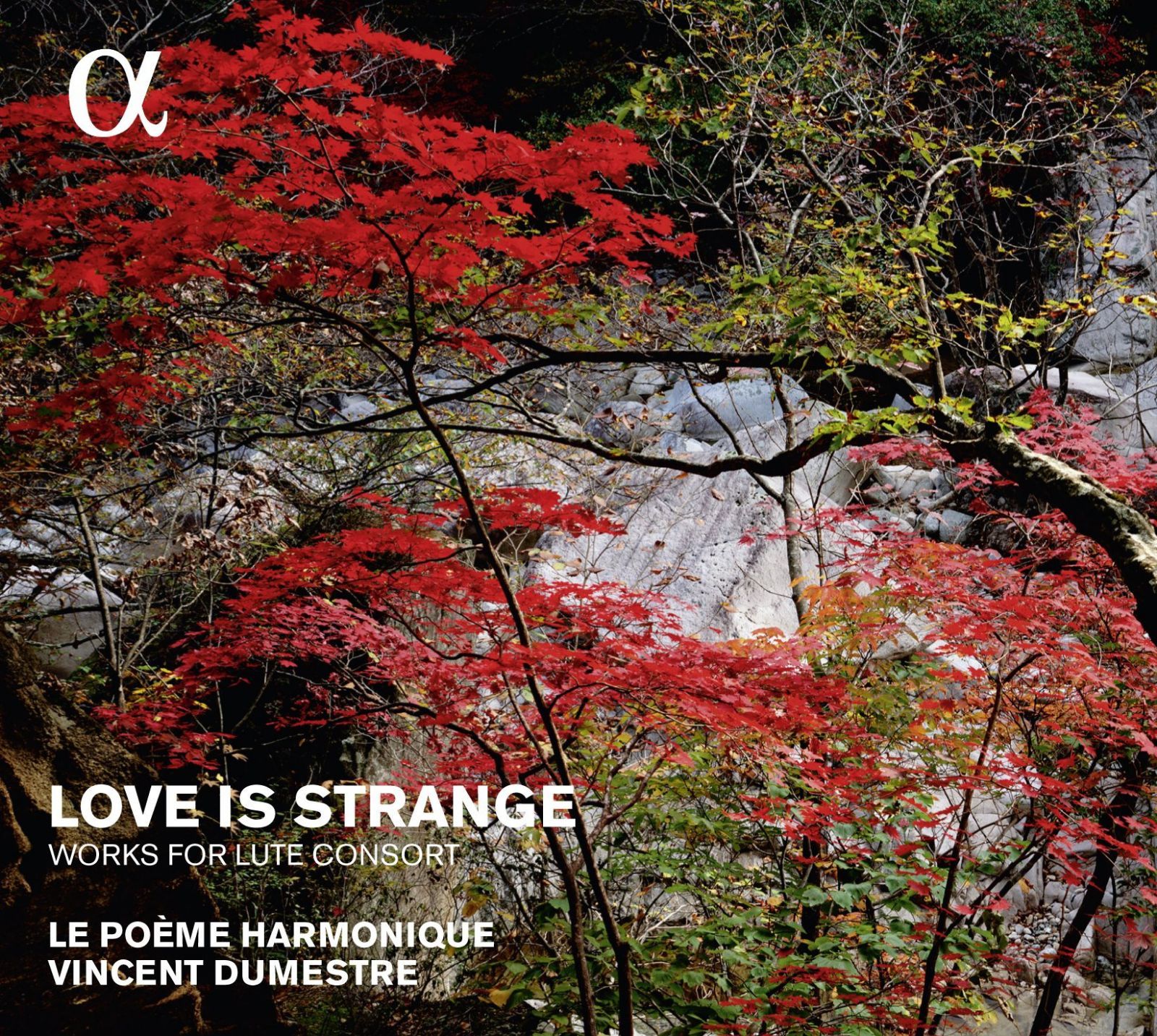 【CD】Love Is Strange