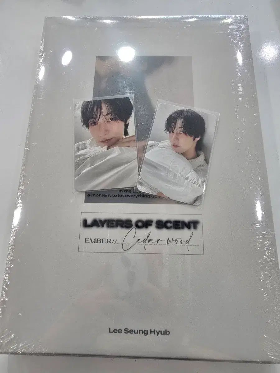 N.Flying（エヌフライング）イ・スンヒョプ フォトブック PHOTOBOOK アンバー
