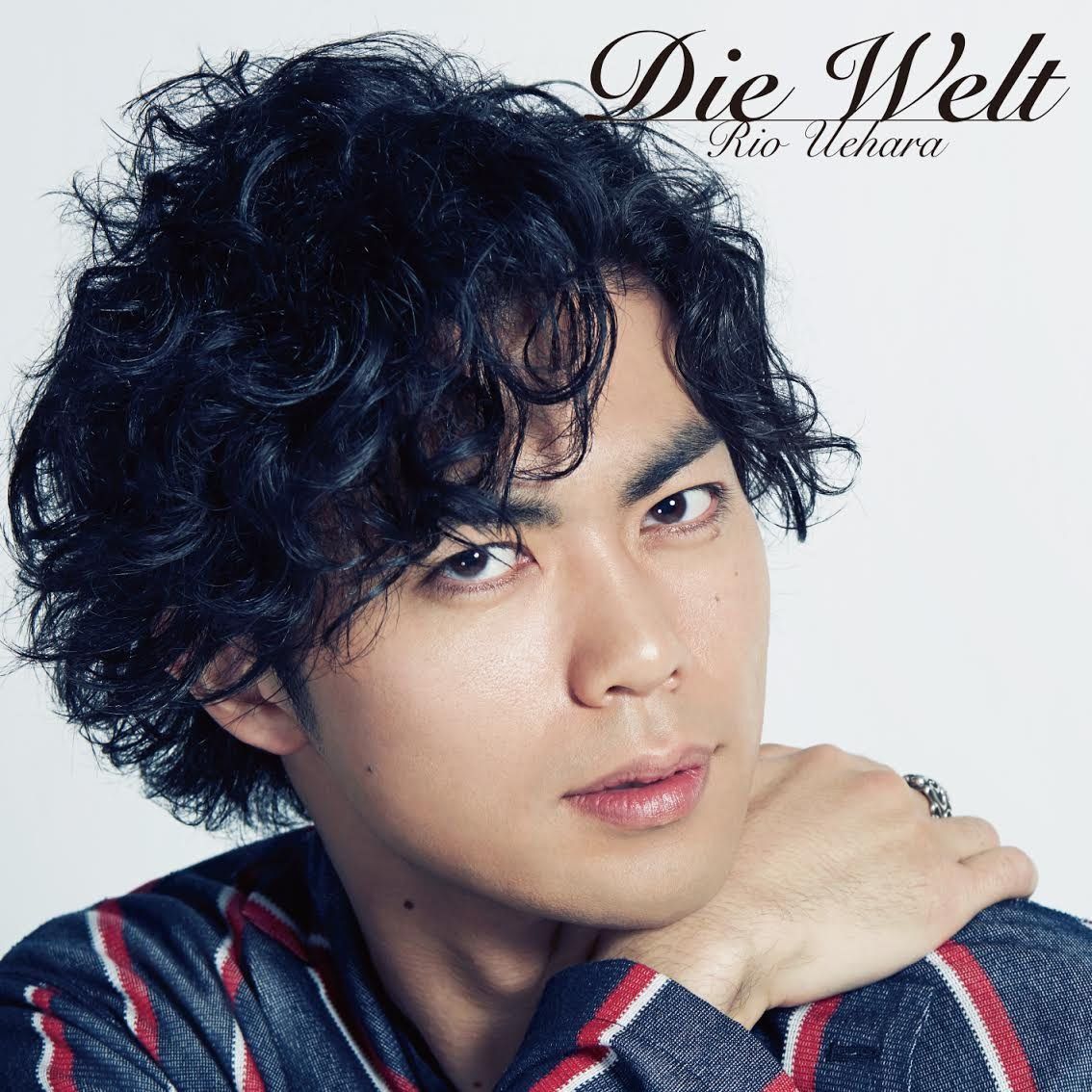 【CD】Die Welt