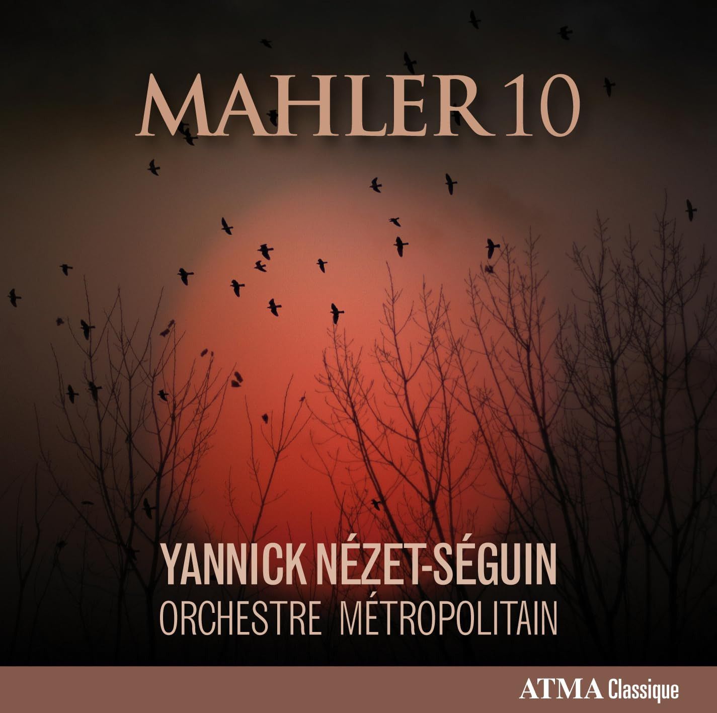 【CD】Mahler 10