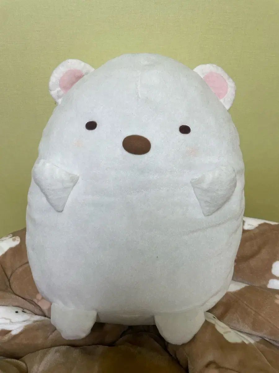 すみっこぐらし 白くま あずまんが大王 IN ぬいぐるみ