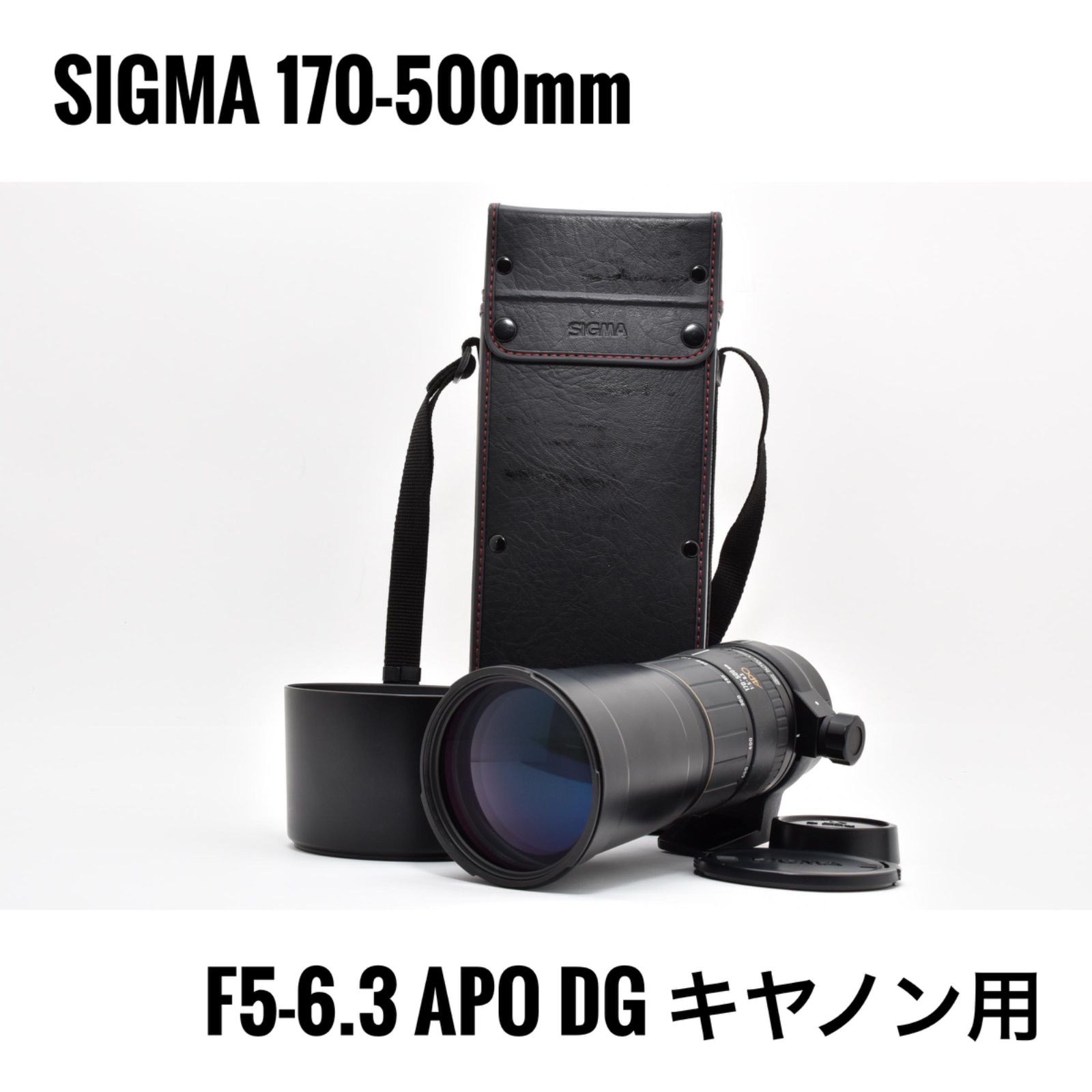 シグマ SIGMA 170-500mm F5-6.3 APO DG キヤノン用