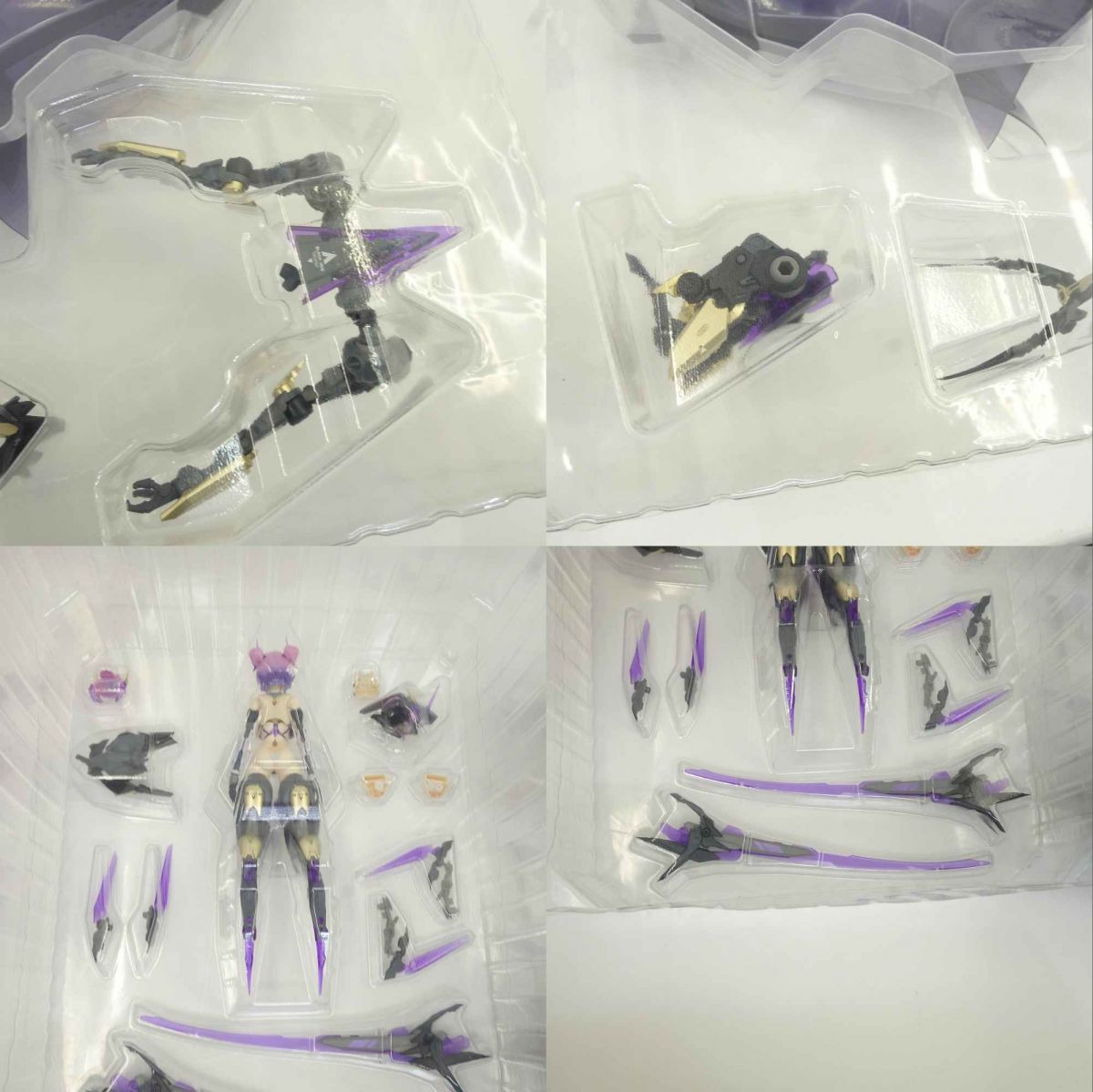 核誠治造 rosado Project RS-02 星花・ブラックアイリス 1/10