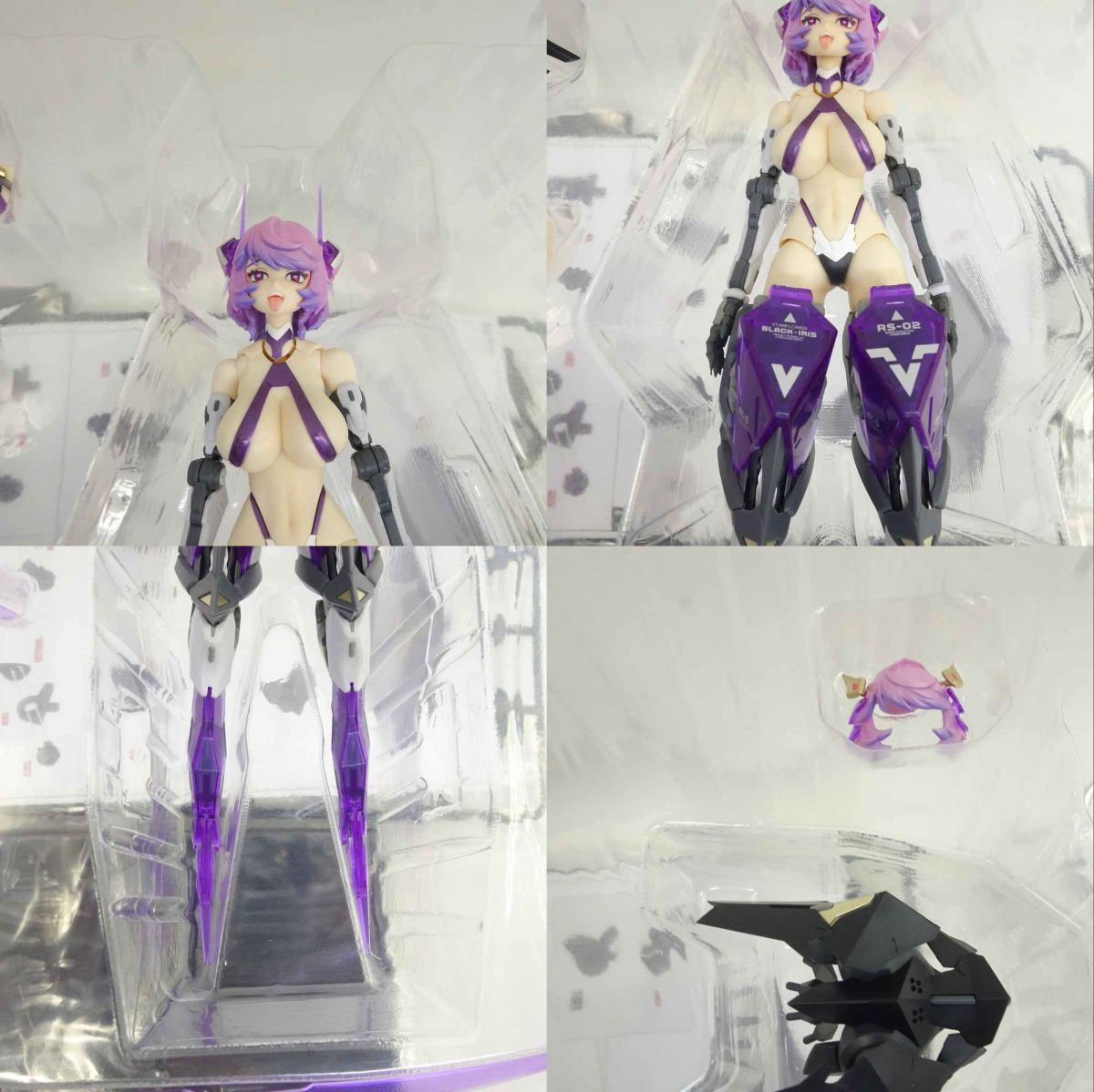 核誠治造 rosado Project RS-02 星花・ブラックアイリス 1/10