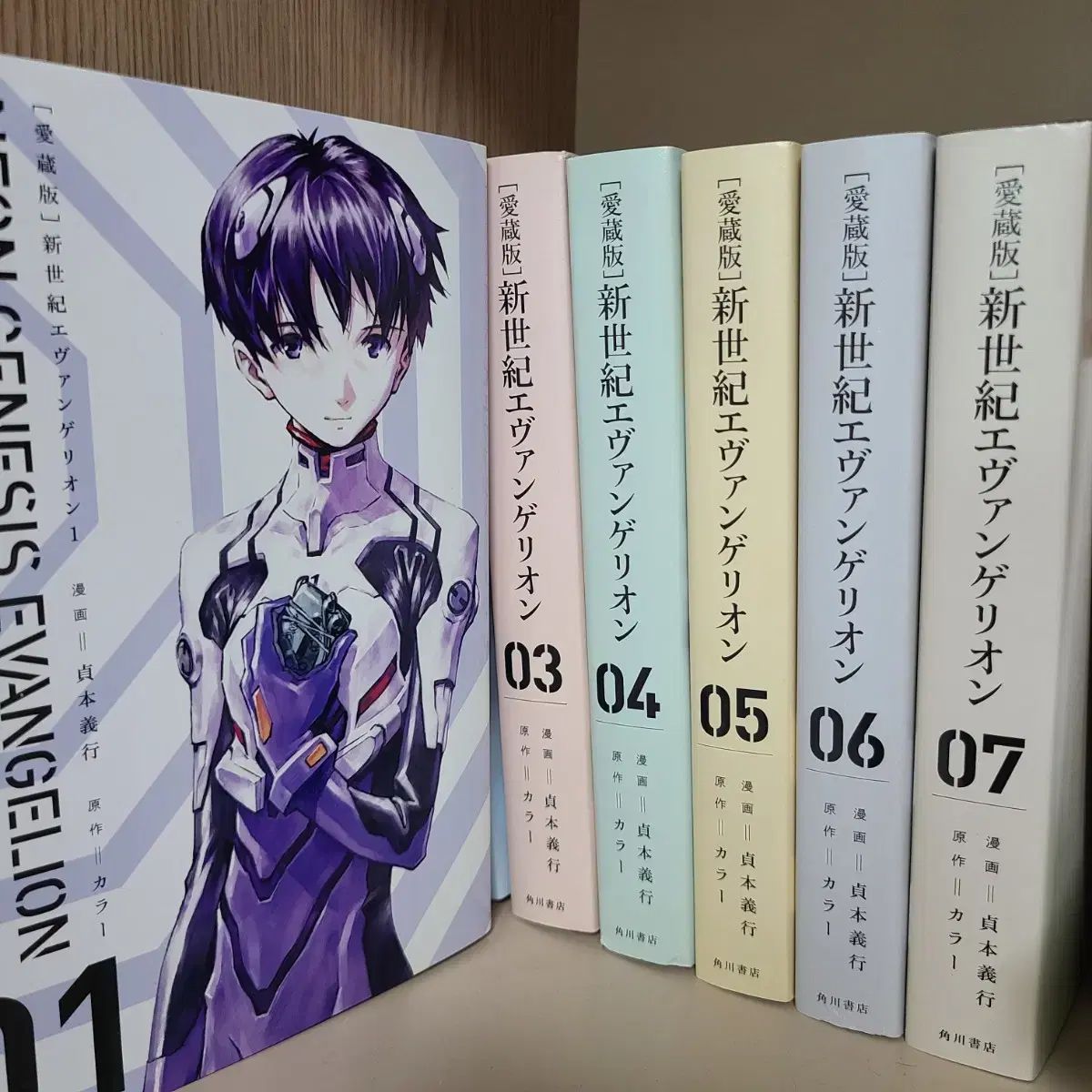 (正規品)新世紀 エヴァンゲリオン 愛蔵版 全巻 日本願書 漫画