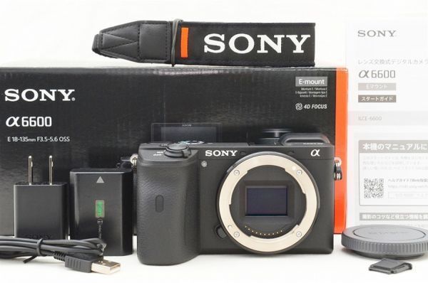 ☆極上美品☆ Sony ソニー α6600 ボディ ILCE-6600 元箱 付属品 Shot数