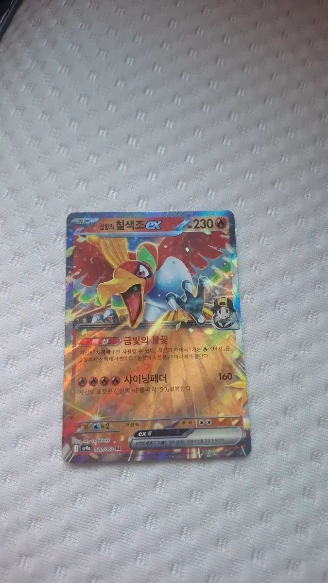 心香の七色鳥ex 出品