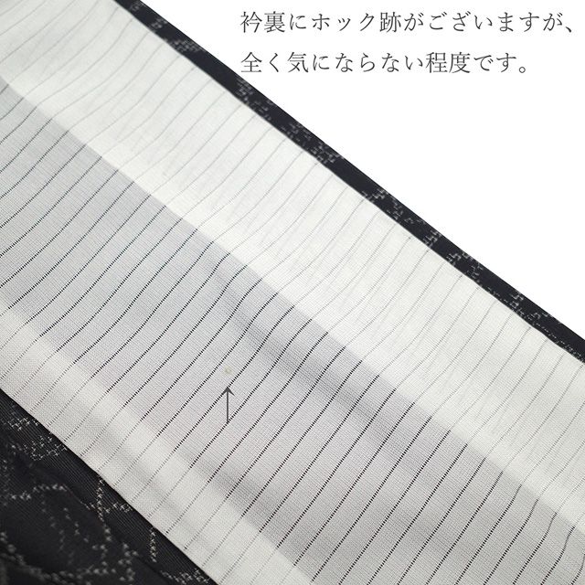 新古品】 夏物 夏大島 着物 単衣 未使用 越後夏大島 正絹 紗紬 十日町