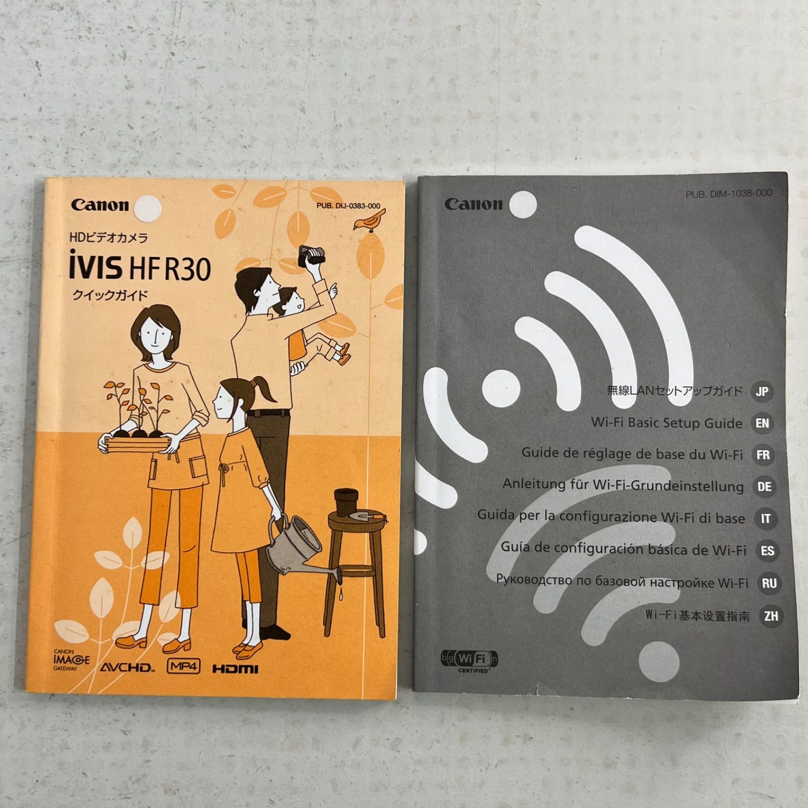 稼働品】Canon iVIS HF R30 本体 シルバー キャノン ビデオカメラ 撮影