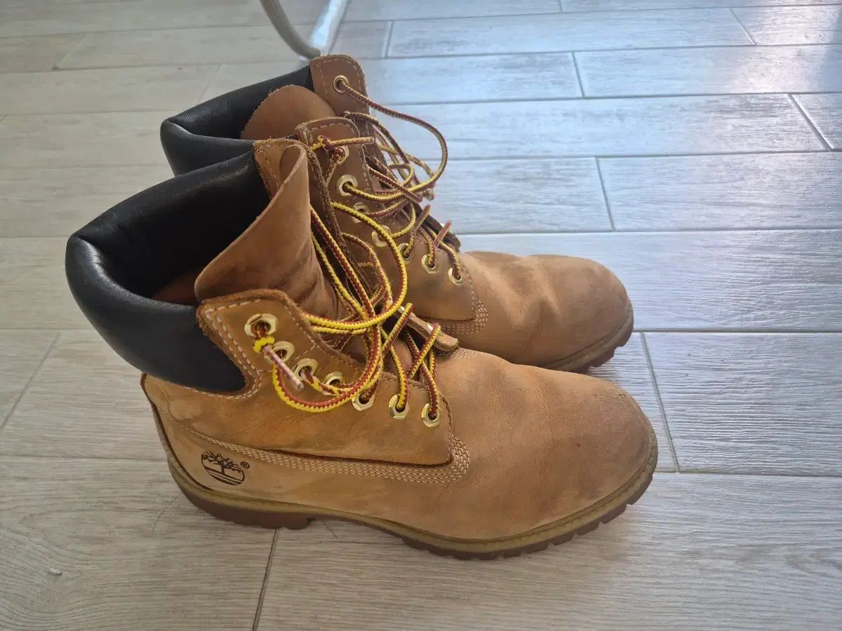 Timberland 6インチ 250 7w