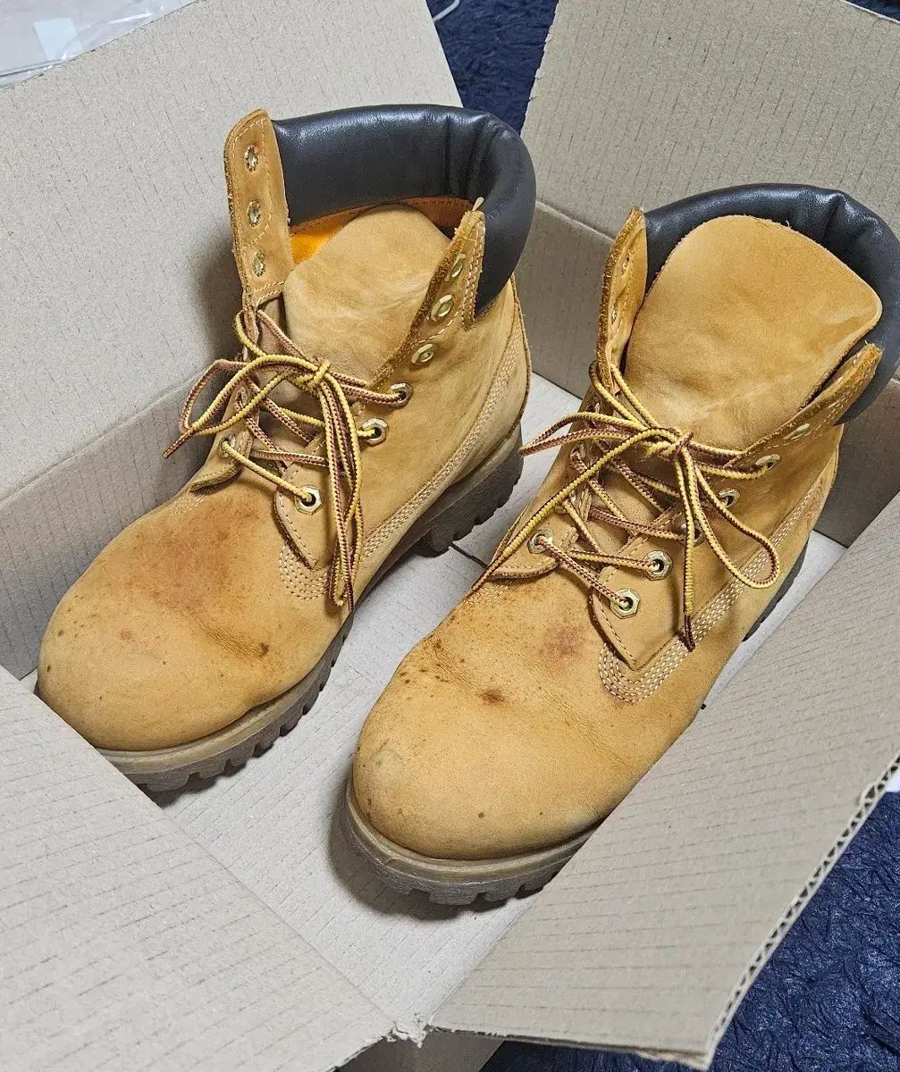 Timberland 6インチ プレミアムブーツ 8W 260