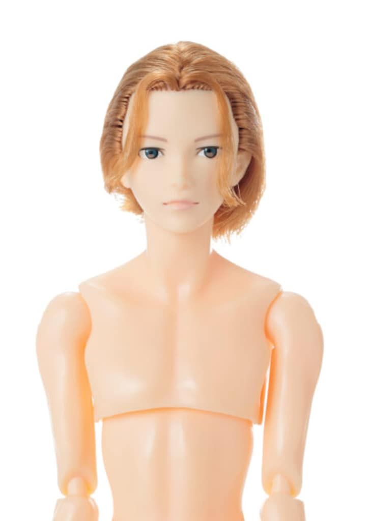 ★新品★ペットワークス 六分の一男子図鑑 エイト B2604
