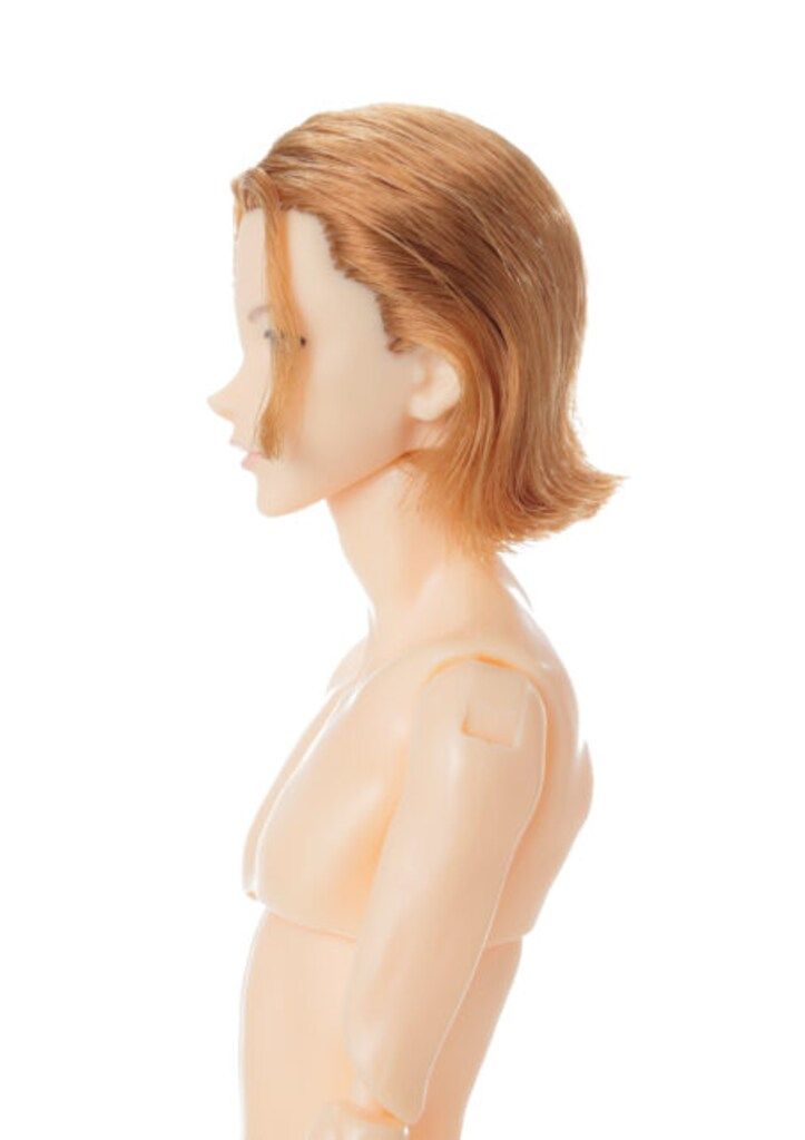 ★新品★ペットワークス 六分の一男子図鑑 エイト B2604