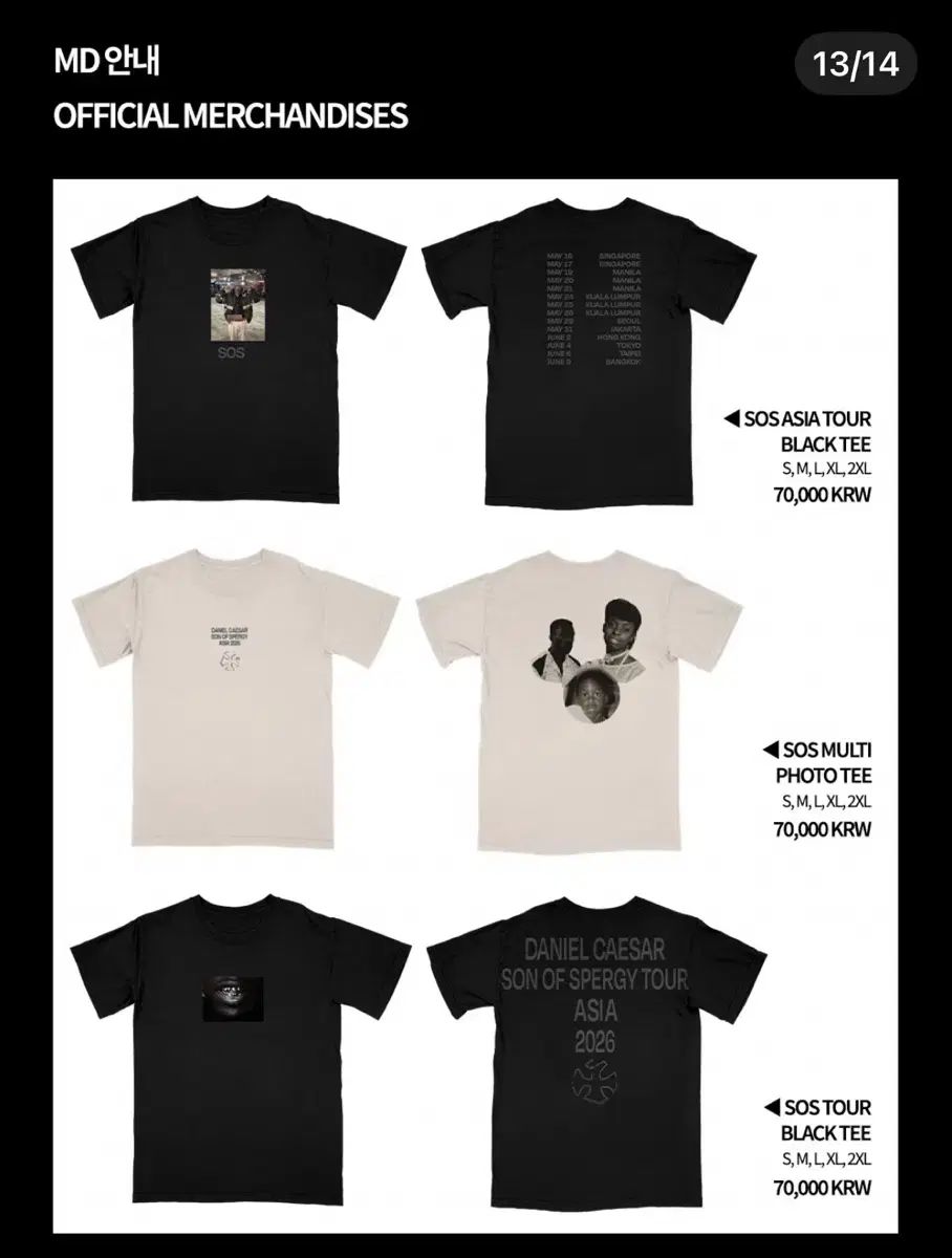 ダニエル(DANIELLE)シザー md Tシャツ 現場