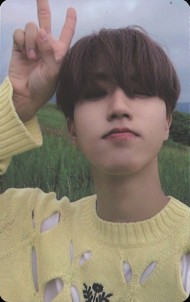 Stray Kids HAN NOEASY SoundWave LD トレーディングカード View
