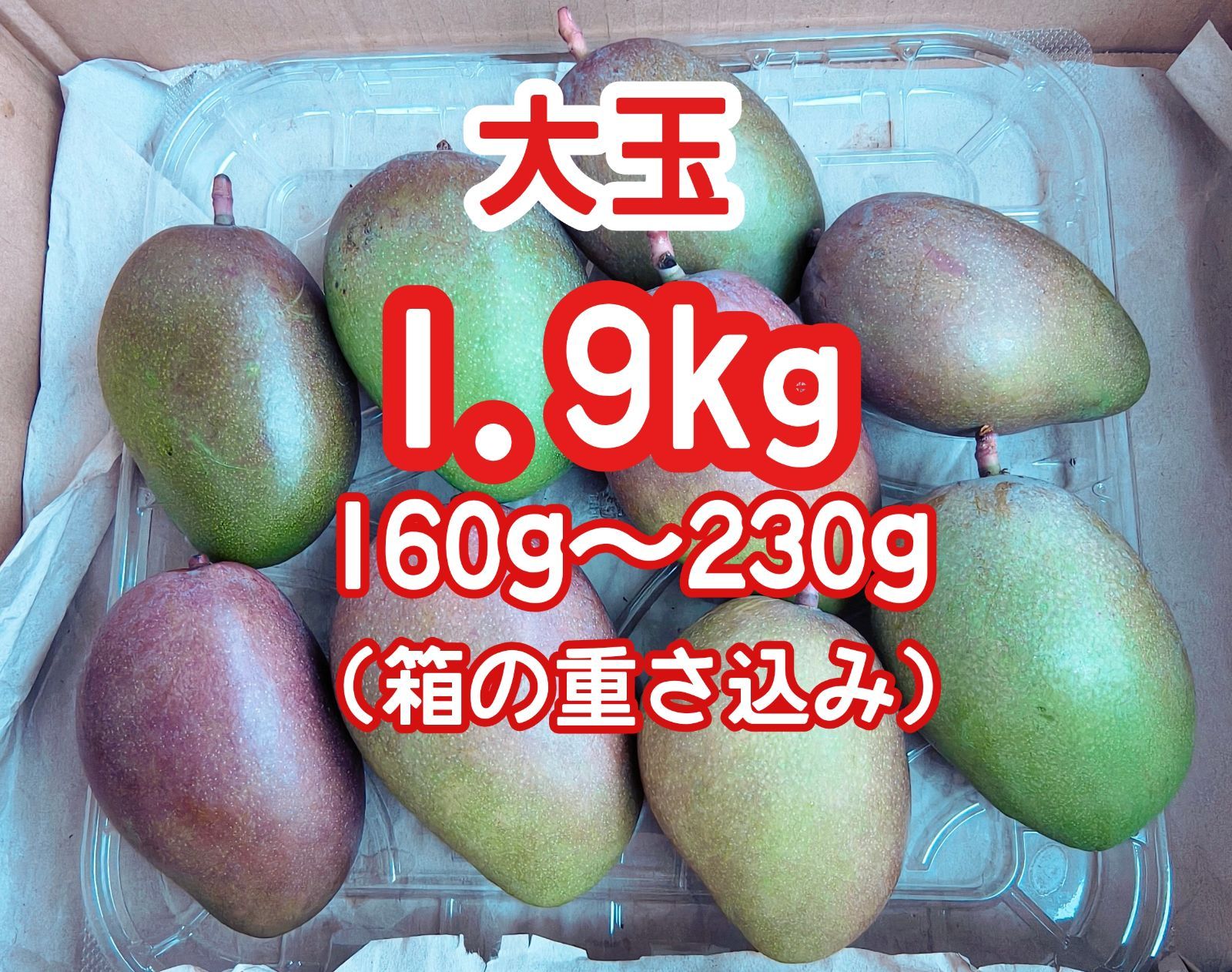限定品》摘果 未熟 加工用 マンゴー/ 約1.9㎏〈約160g～230g〉 - メルカリ