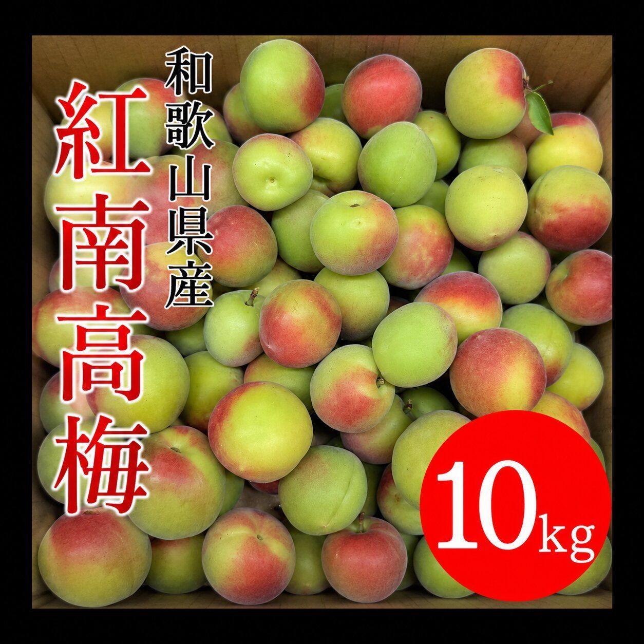【予約販売】6月初旬より順次発送　和歌山県産　紅南高梅 10キロ