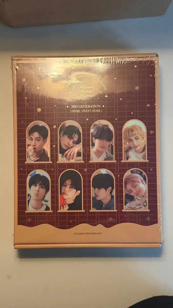 Stray Kids(ストレイキッズ・スキズ・SKZ) スキズ ファンクラブ 3期 キット STAY キット 7,836円