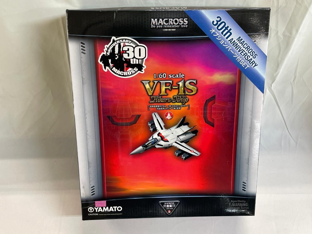 1/60 完全変形 VF-1S 一条輝機 オプションパーツ付 (塗装済み完成品)