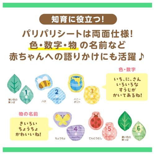 ディズニー てあそびいっぱい! おうちにへんしんジム 0か月以上 くまのプーさんe a9628fc7 ディズニー てあそびいっぱい! おうちにへんしんジム 0か月以上 くまのプーさんe a9628fc7
