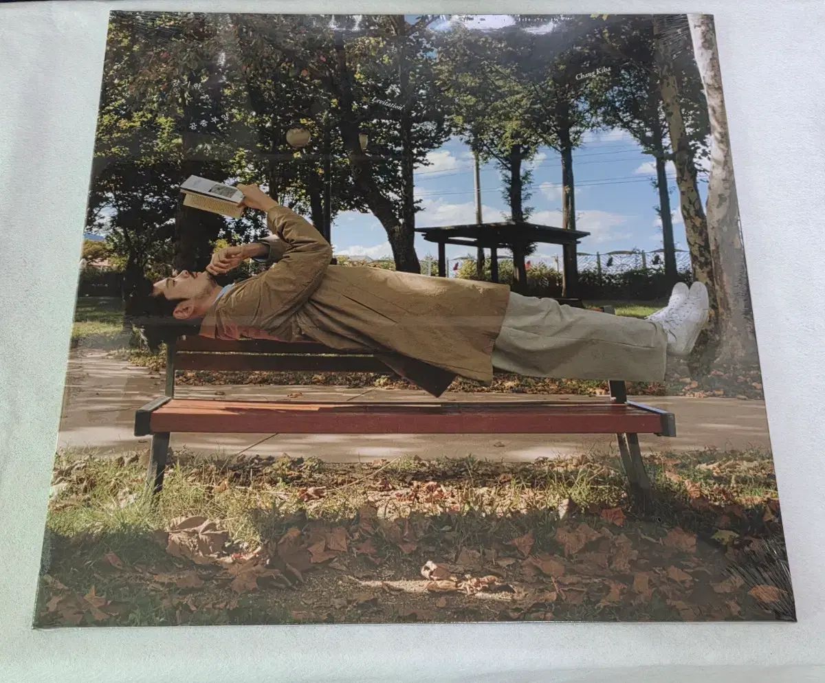 長期 lp 浮上 出品