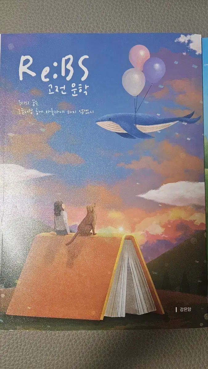 2027チュ・ハンニョン Gang Eun Yang T ReBS 大学受験能力試験特講 古典文学 HYUNDAI文学