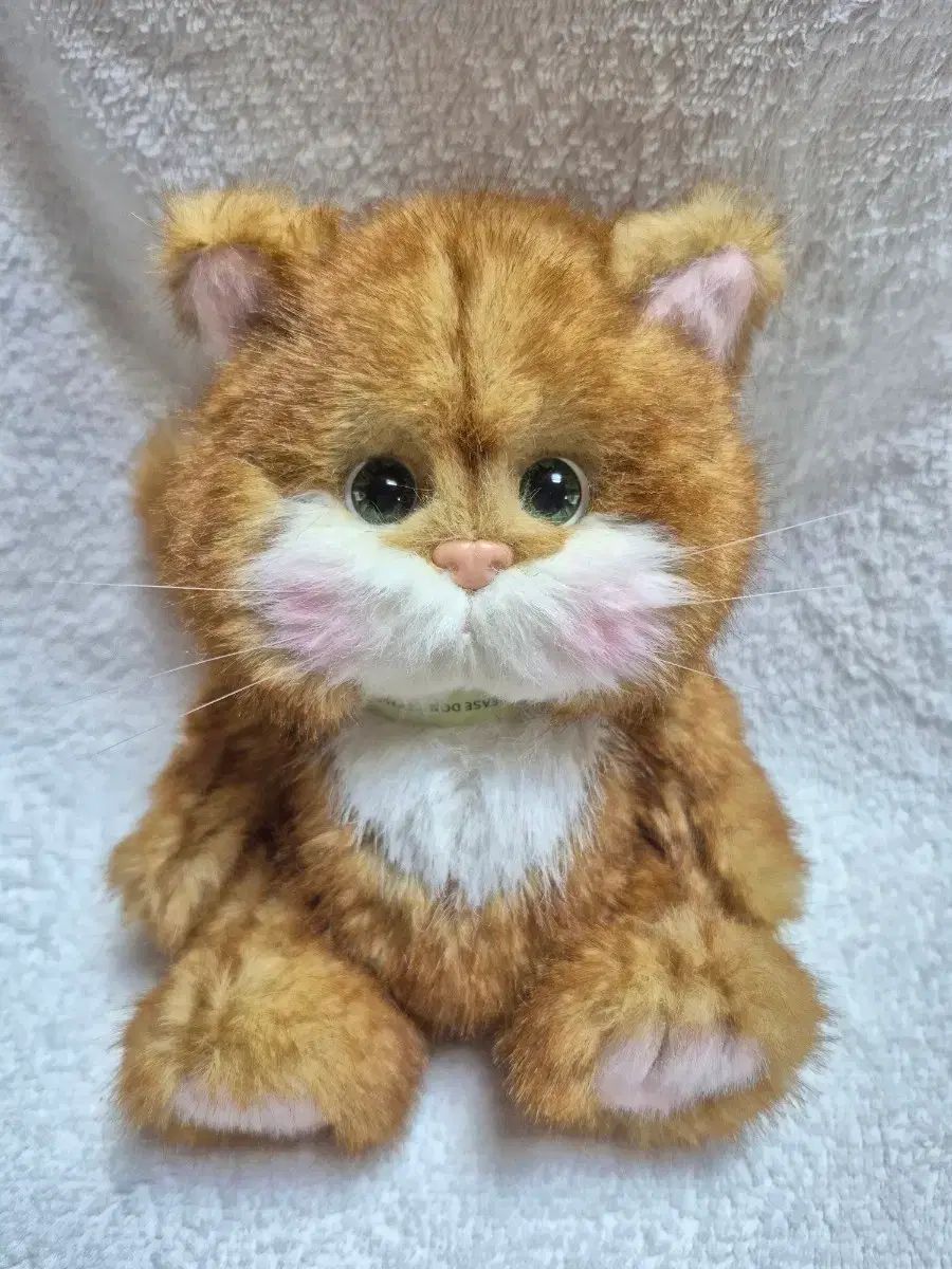 (新品)テディテイルズ レナキャット チーズ猫 sサイズ 20cm