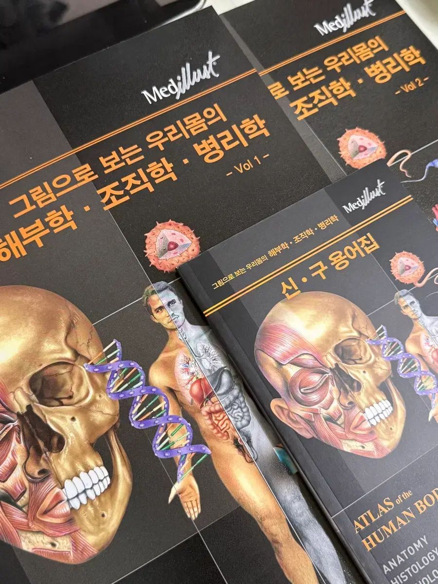 정담 解剖学 組織学 病理学
