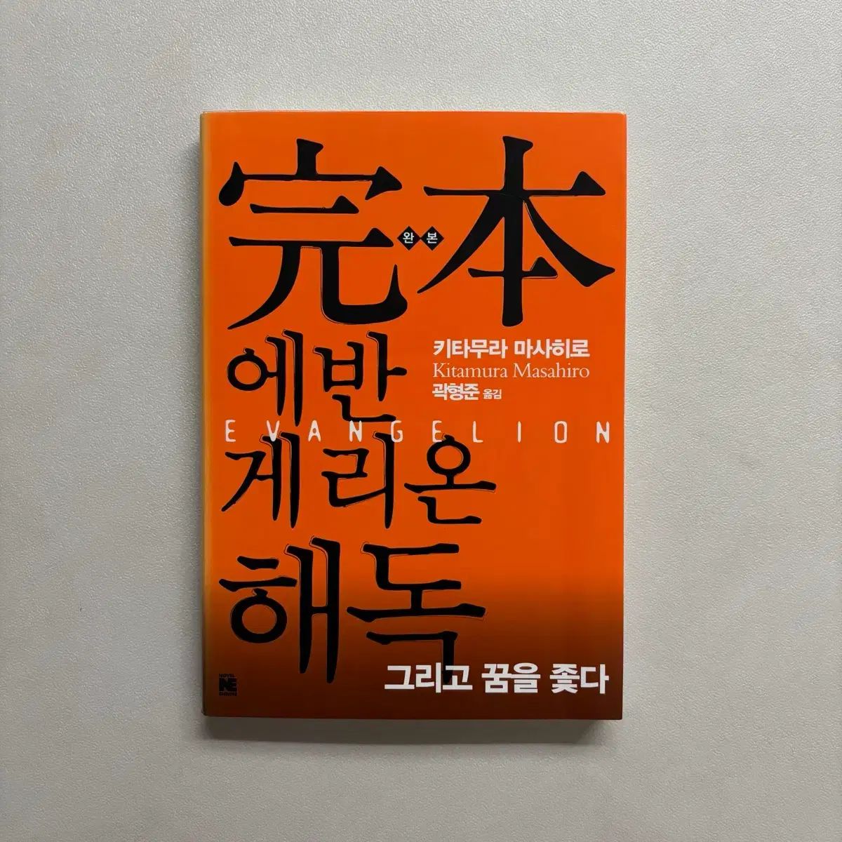 完本エヴァンゲリオン解読 本