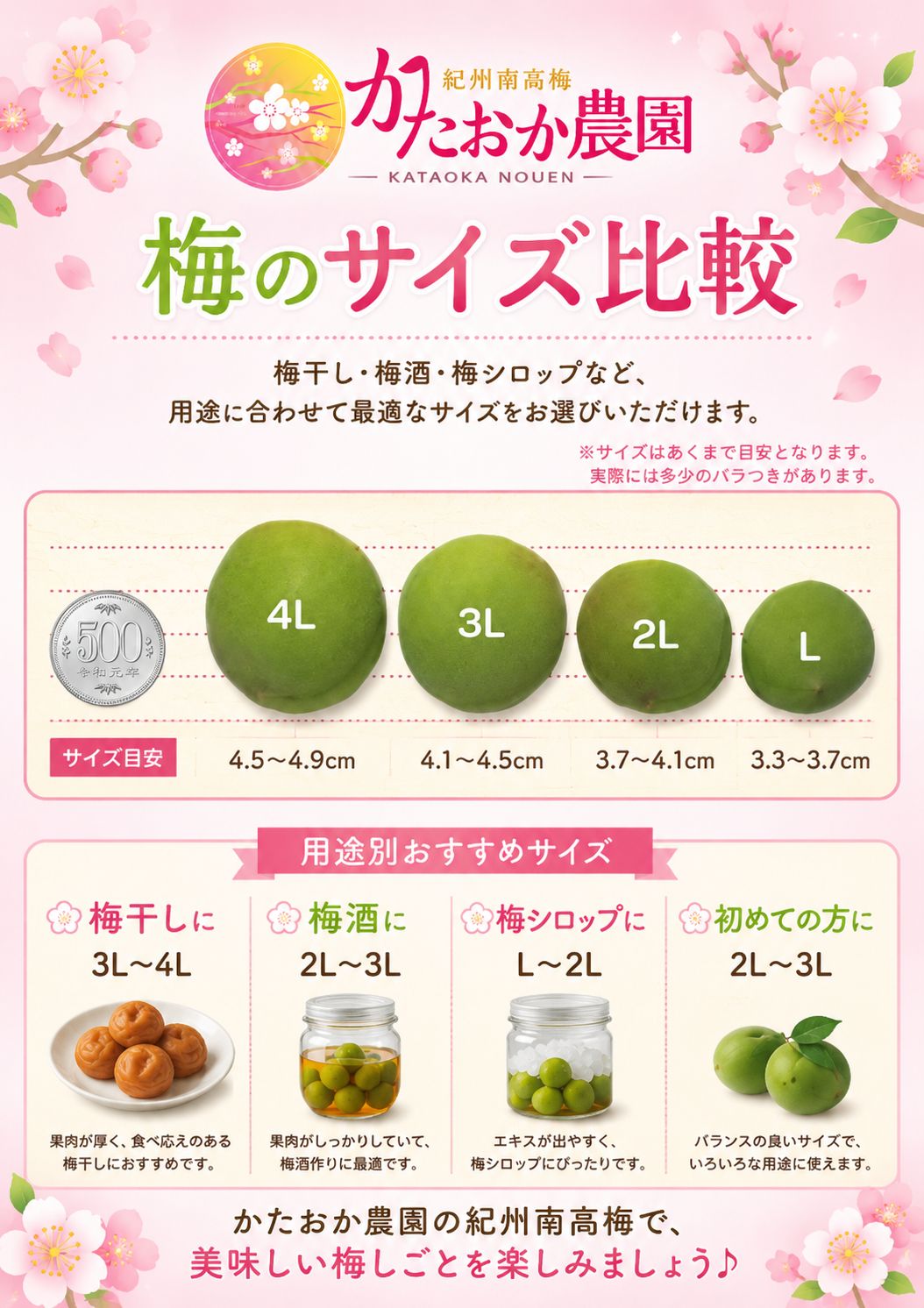 【クール便発送!】 《追熟梅(梅干し用)》秀品A級3L5kg 【クール便発送!】 《追熟梅(梅干し用)》秀品A級3L5kg