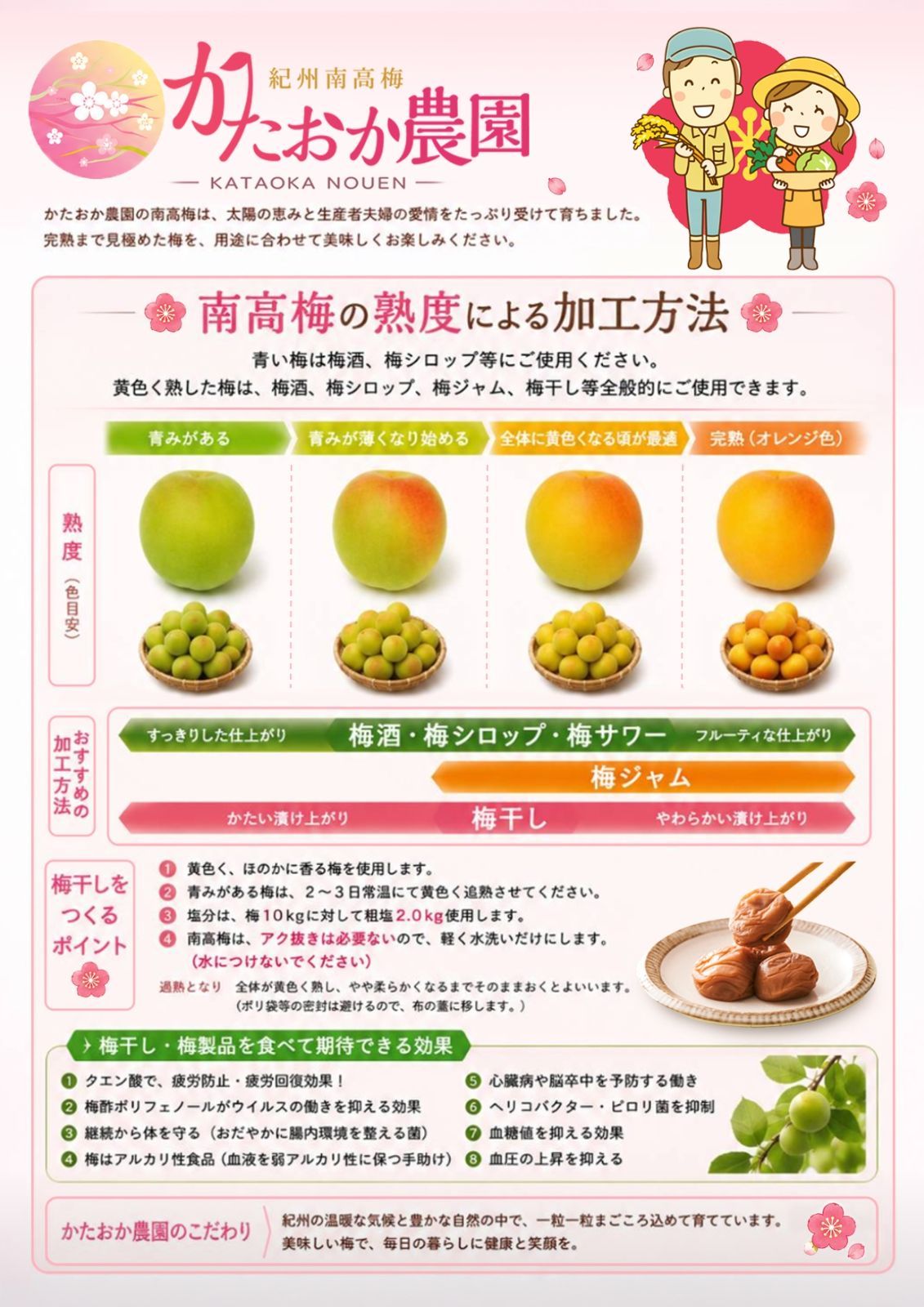 追熟梅(梅干し用)秀品A級3L 5kg 紀州南高梅 - メルカリ