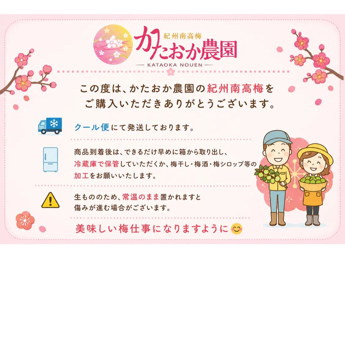 【クール便発送!】 《追熟梅(梅干し用)》秀品A級3L5kg 【クール便発送!】 《追熟梅(梅干し用)》秀品A級3L5kg