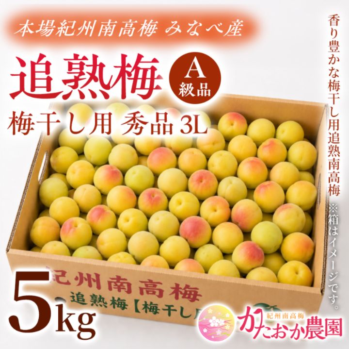 【クール便発送！】 《追熟梅（梅干し用）》秀品A級3L5kg