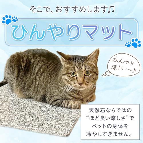 ペット用 ひんやりマット(ベッド) 40×30×1.3cm 犬 猫 丸洗い ほど良い涼しさにペットうっとり ペットさん大よろこび 暑い夏に洗えるクールなマットで安心の日本製 大自然の原石から1枚ずつ丁寧に加工してます G400e300-W01 8a3a3b37 ペット用 ひんやりマット(ベッド) 40×30×1.3cm 犬 猫 丸洗い ほど良い涼しさにペットうっとり ペットさん大よろこび 暑い夏に洗えるクールなマットで安心の日本製 大自然の原石から1枚ずつ丁寧に加工してます G400e300-W01 8a3a3b37
