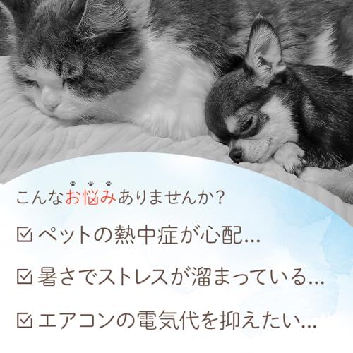 ペット用 ひんやりマット(ベッド) 40×30×1.3cm 犬 猫 丸洗い ほど良い涼しさにペットうっとり ペットさん大よろこび 暑い夏に洗えるクールなマットで安心の日本製 大自然の原石から1枚ずつ丁寧に加工してます G400e300-W01 8a3a3b37 ペット用 ひんやりマット(ベッド) 40×30×1.3cm 犬 猫 丸洗い ほど良い涼しさにペットうっとり ペットさん大よろこび 暑い夏に洗えるクールなマットで安心の日本製 大自然の原石から1枚ずつ丁寧に加工してます G400e300-W01 8a3a3b37