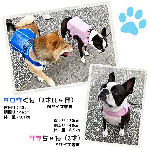 トップユニフォーム株式会社 犬用アイスベスト 国産 保冷剤2個付き 冷却ベスト ペット 熱中症対策 Z5713006 M 40.ブルーas 440ace44 トップユニフォーム株式会社 犬用アイスベスト 国産 保冷剤2個付き 冷却ベスト ペット 熱中症対策 Z5713006 M 40.ブルーas 440ace44