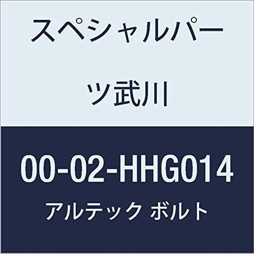 新品 SP武川 ALTECH R.クランクケースカバー GD 00-02-HHG014